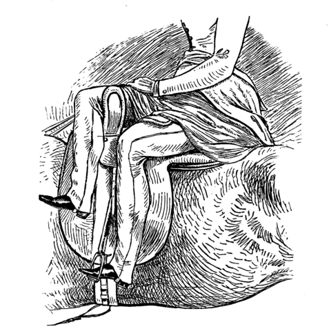 image relating to side-saddle