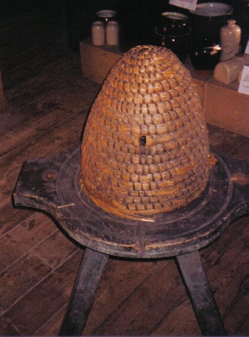 image relating to skep