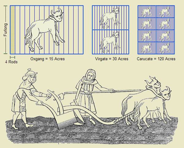 image relating to furlong