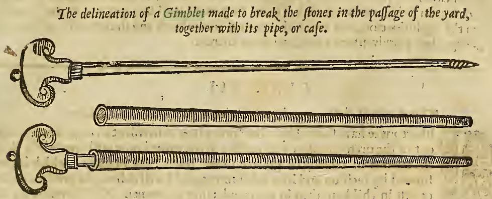 image relating to gimlet