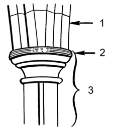 image relating to impost
