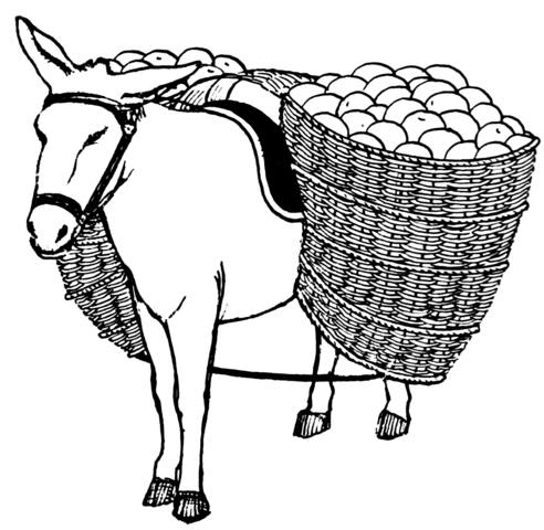 image relating to pannier