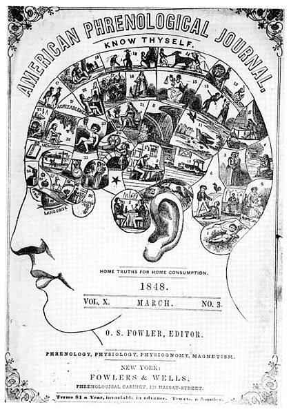 image relating to craniology