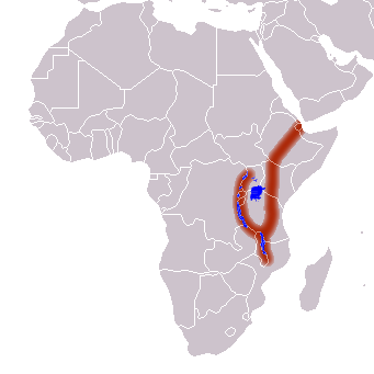 image relating to Great Rift Valley