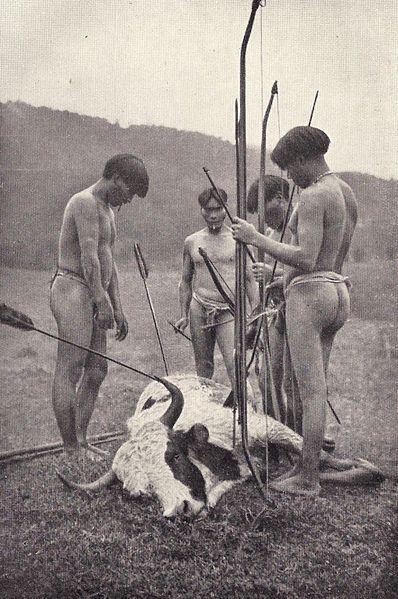 image relating to Botocudos