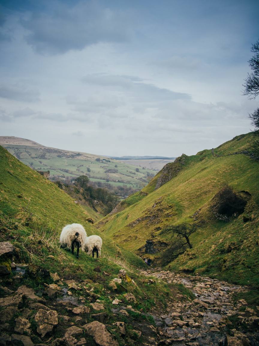 image relating to Derbyshire