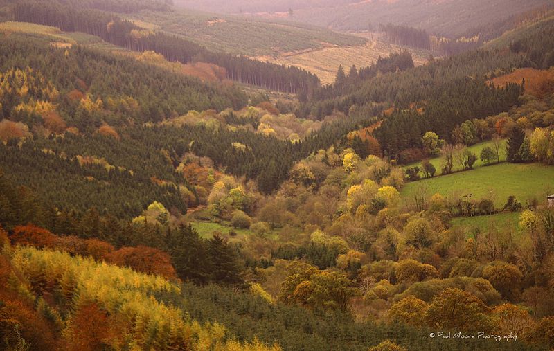 image relating to Slieve Bloom Mountains