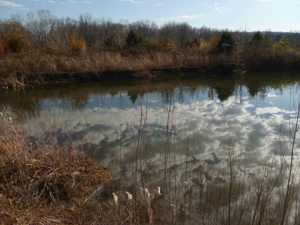 image relating to tarn