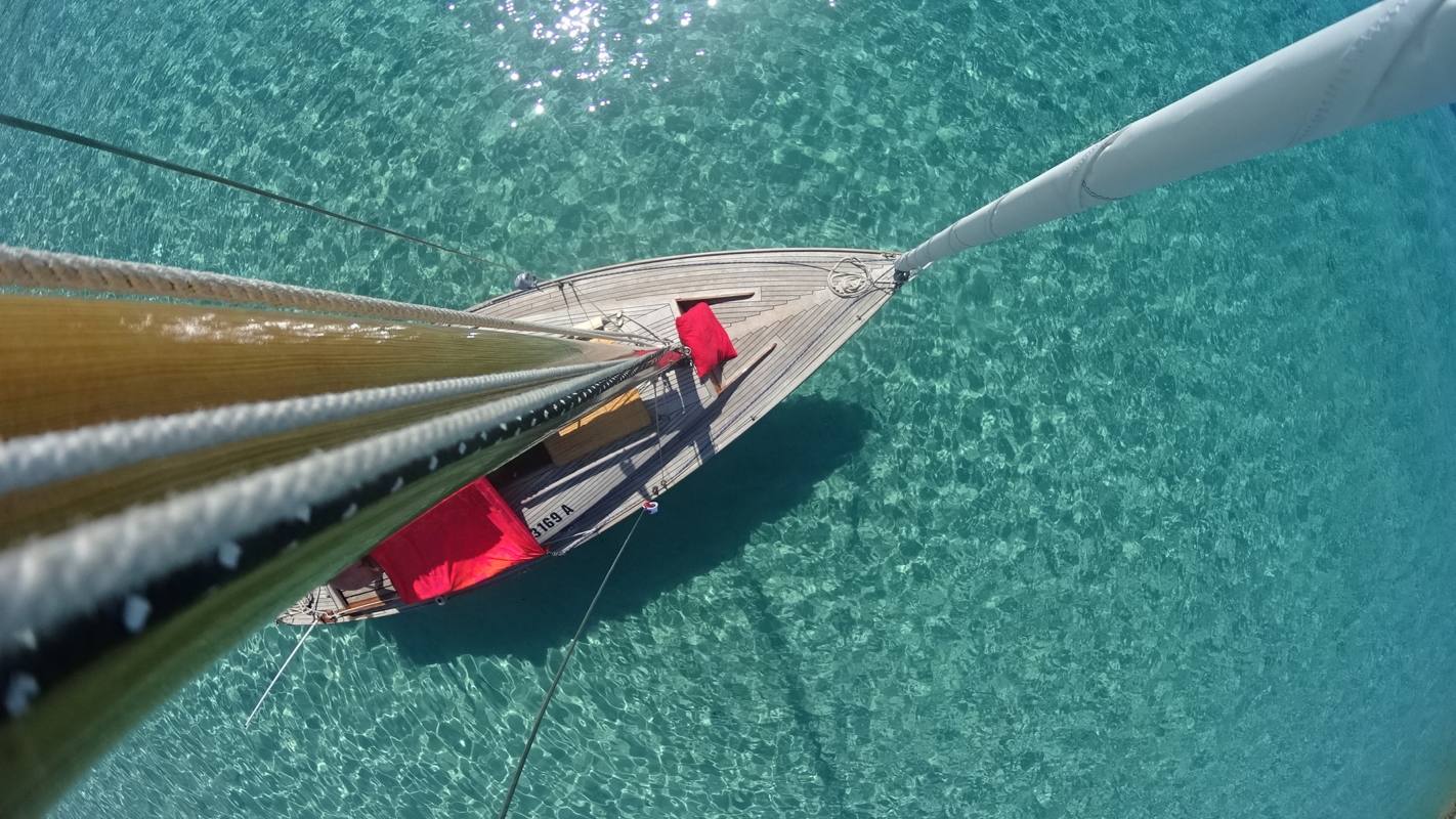image relating to halyard