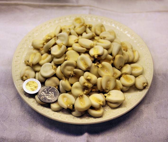 image relating to hominy