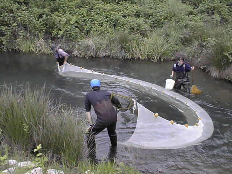 image relating to seine fishing