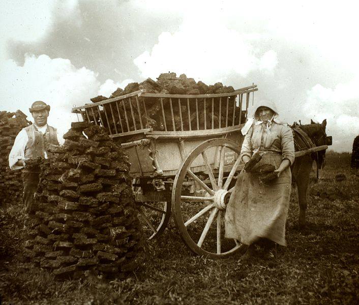 image relating to turf