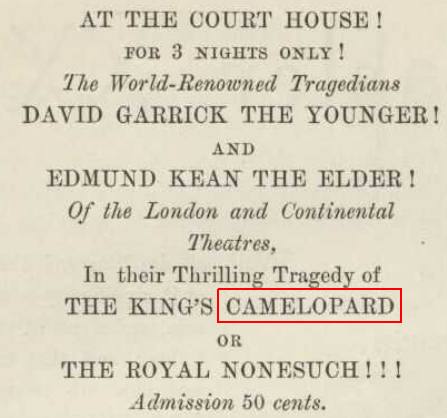 image relating to camelopard